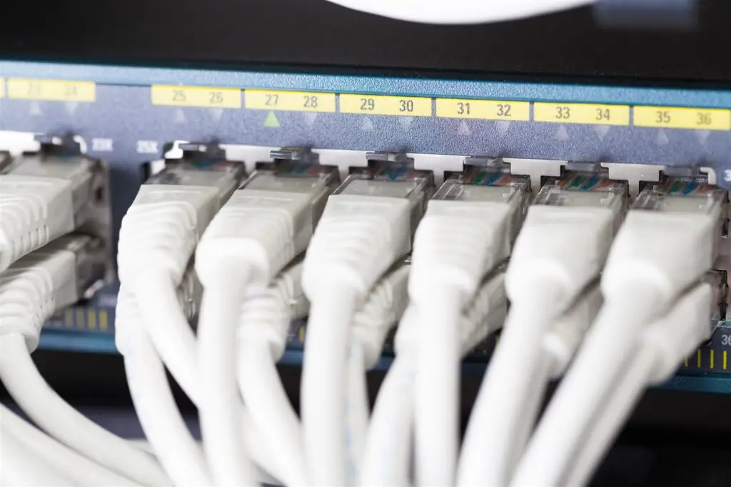 Netzwerkkabel in den Ports eines Switches